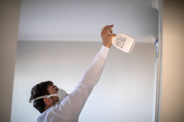 Best Toxic Mold Removal  in Tangelo Park, FL