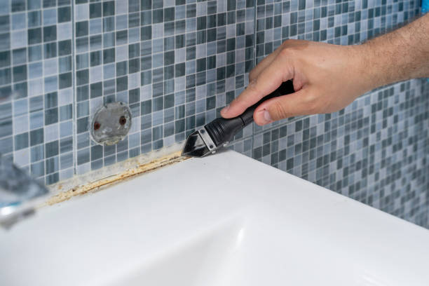 Best Mold Removal and Inspection  in Tangelo Park, FL